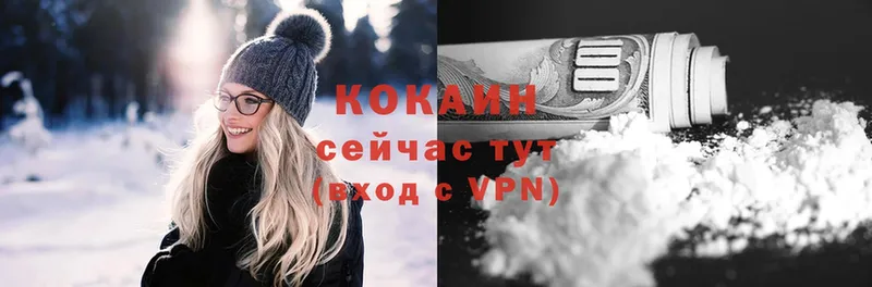 купить  сайты  Новозыбков  Cocaine VHQ 